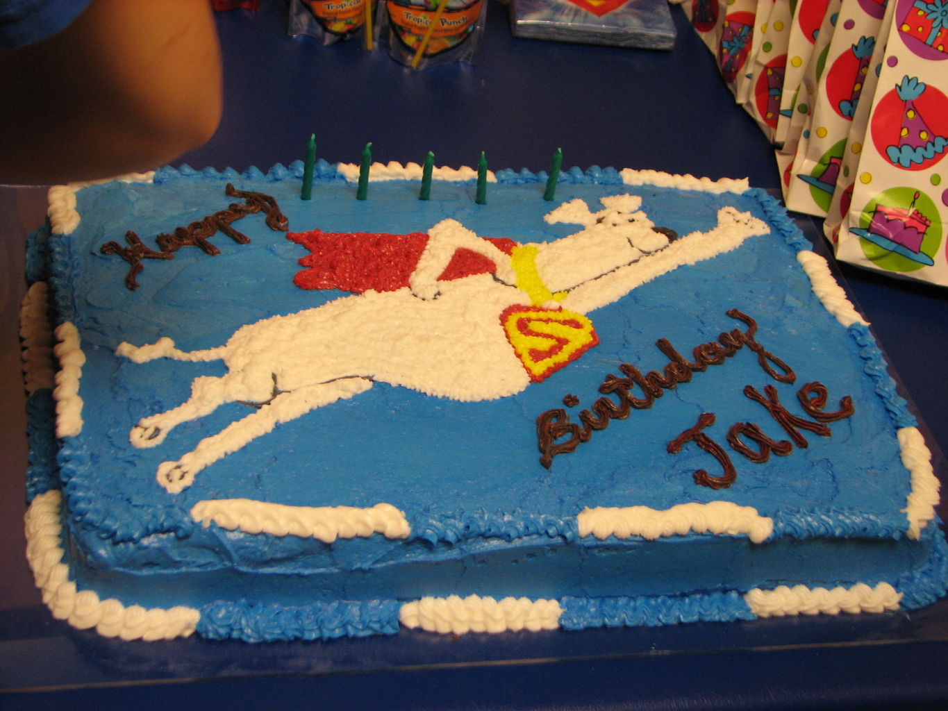 Jake's 5th Birthday Party