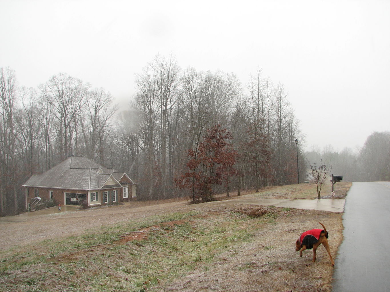 Snowy Day