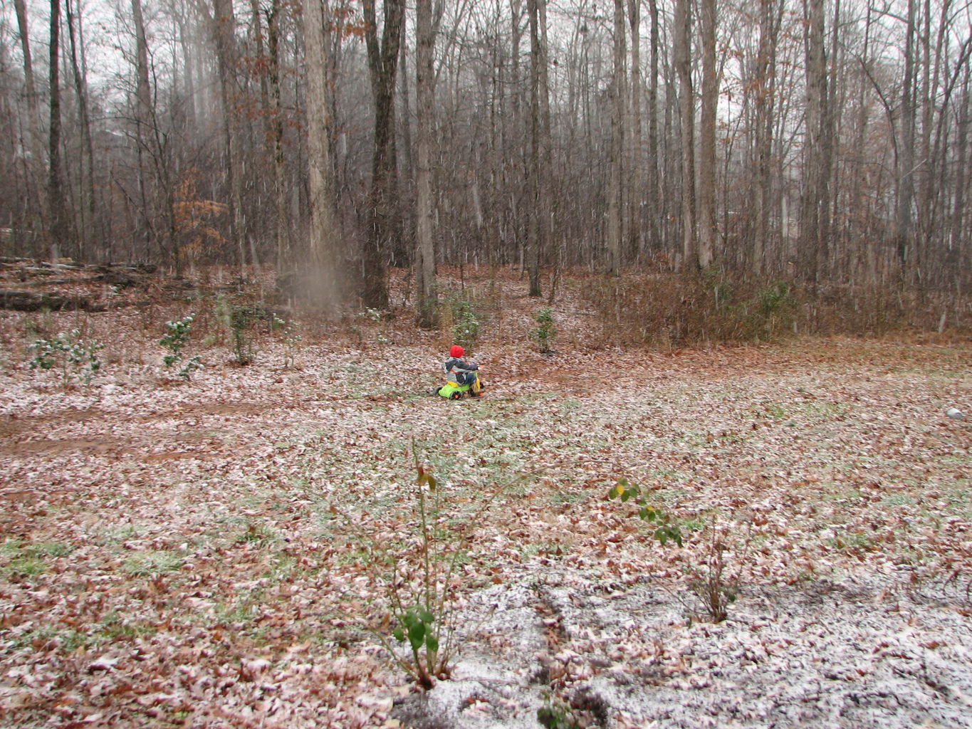 Snowy Day