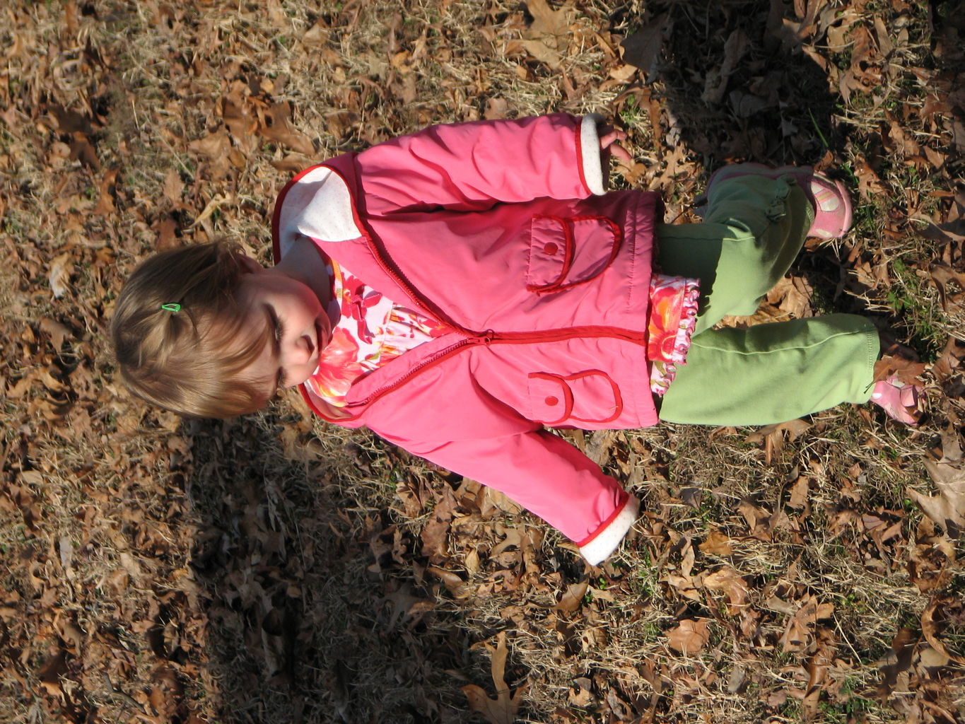 February Picts