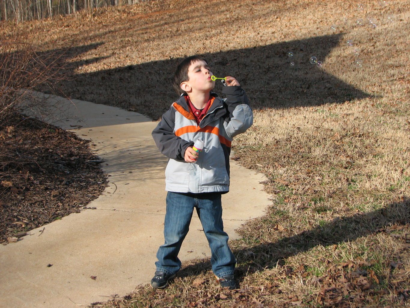 February Picts