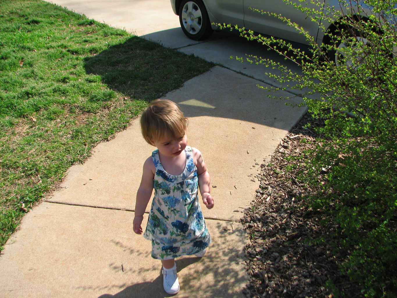 Easter 2008