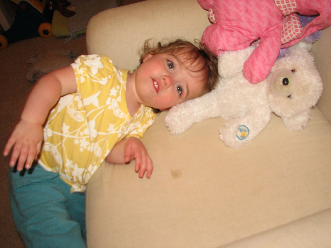 April 6 Picts
