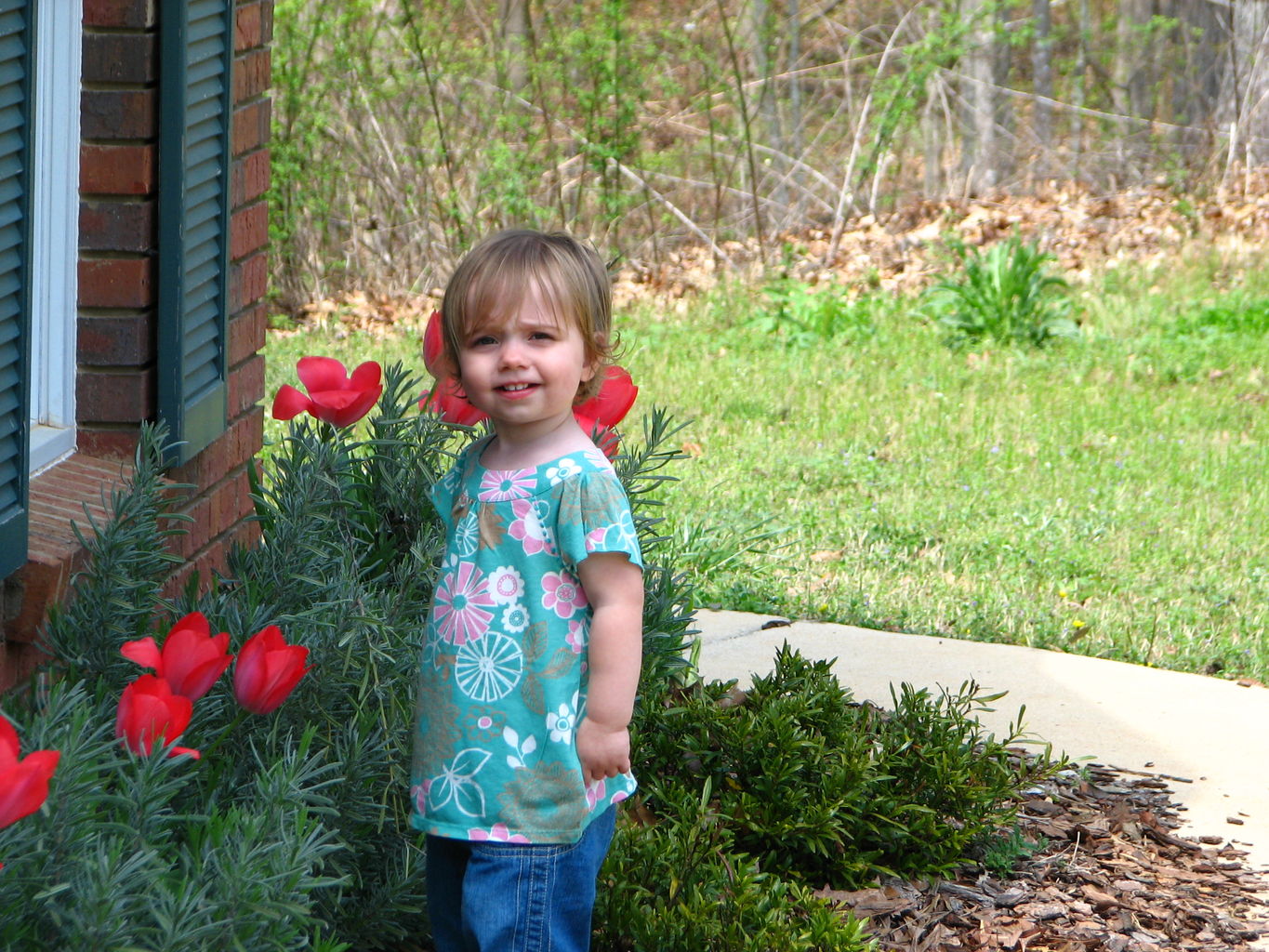 Spring Flowers