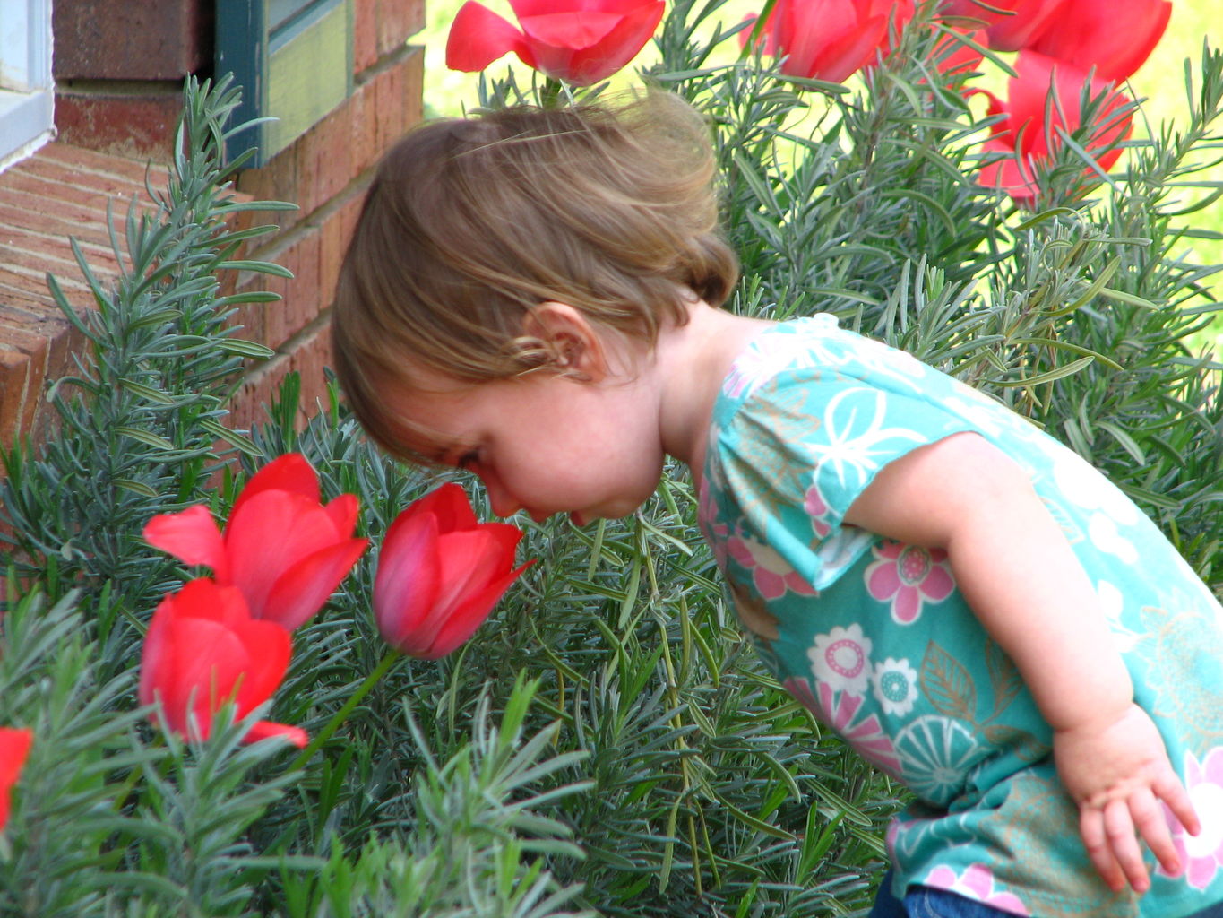 Spring Flowers