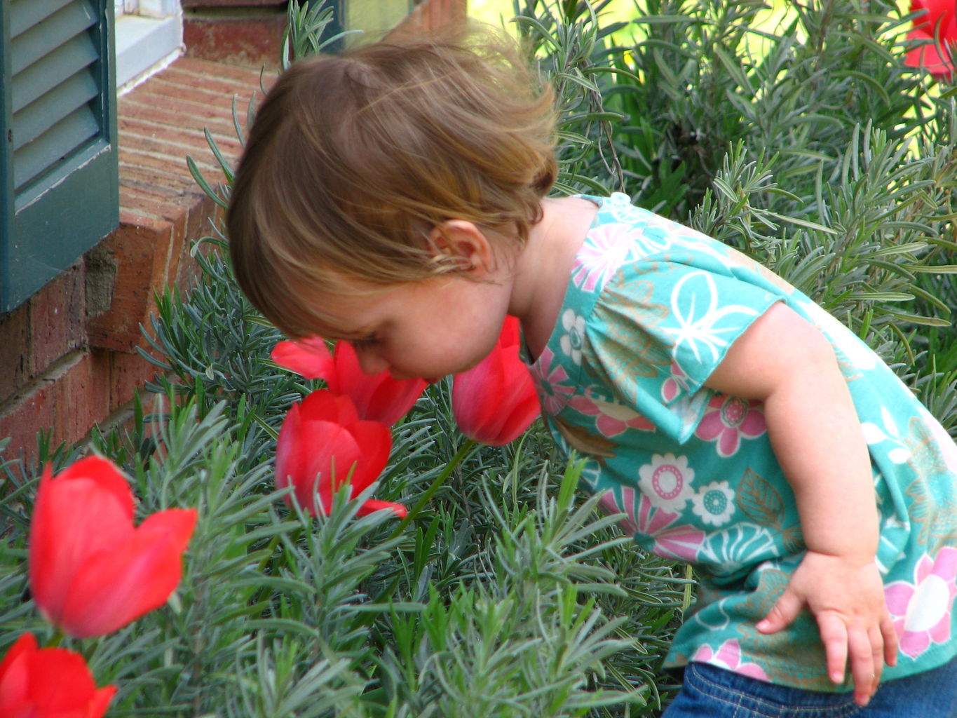 Spring Flowers