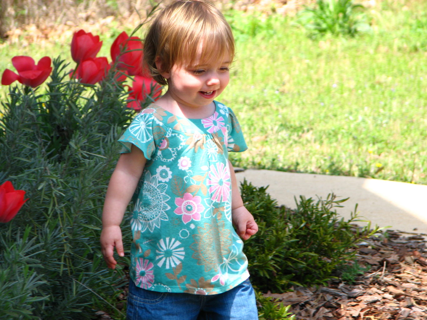 Spring Flowers