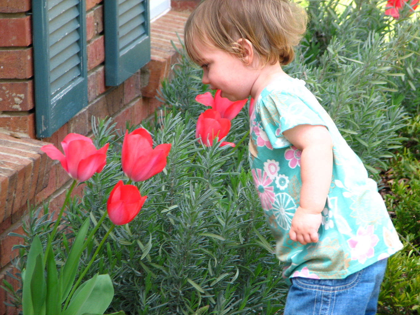 Spring Flowers