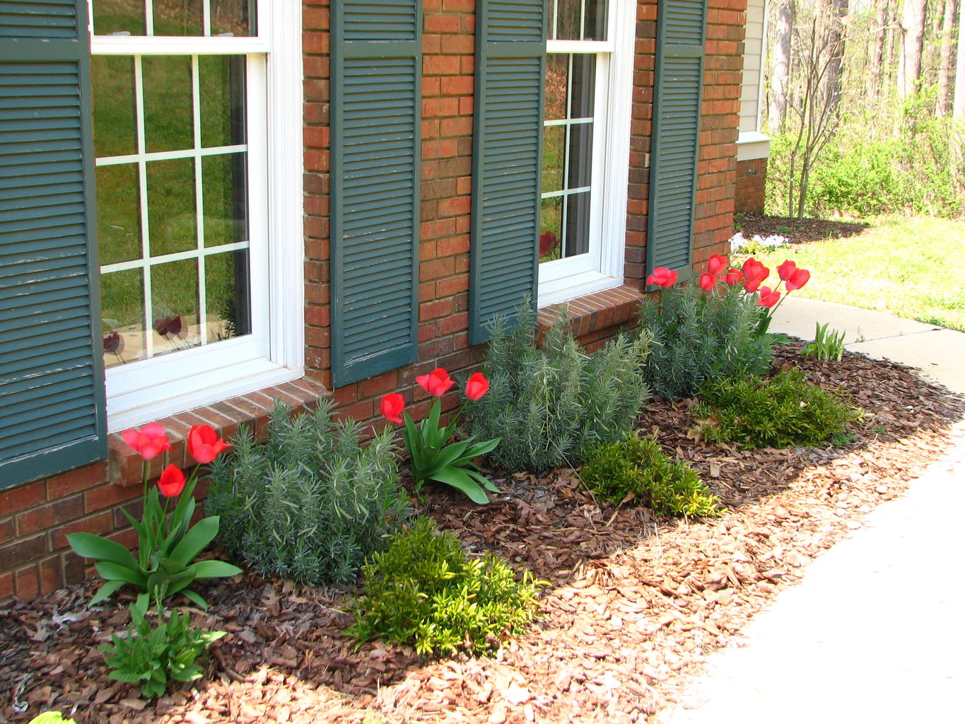 Spring Flowers