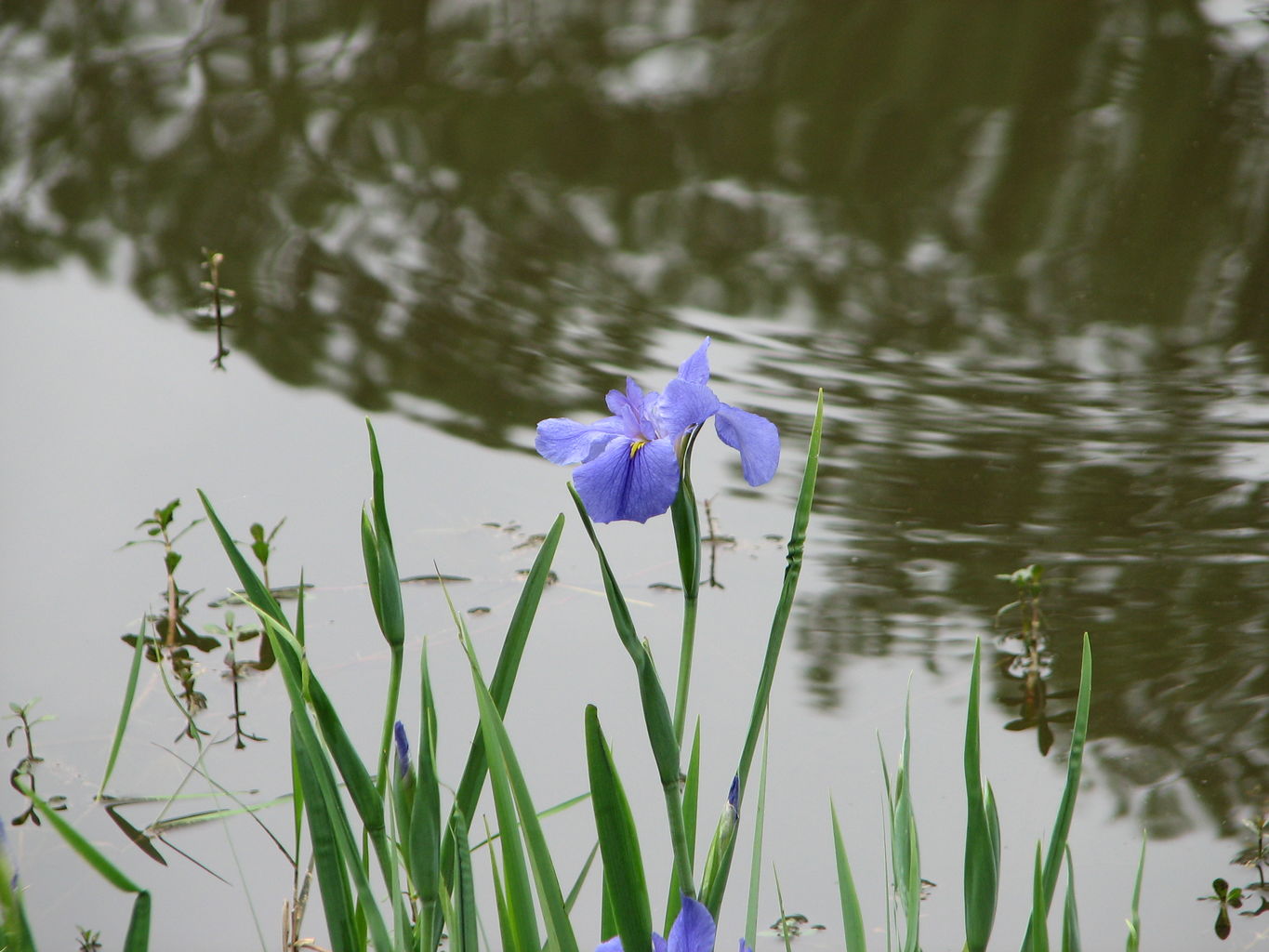 Visit to Callaway Gardens