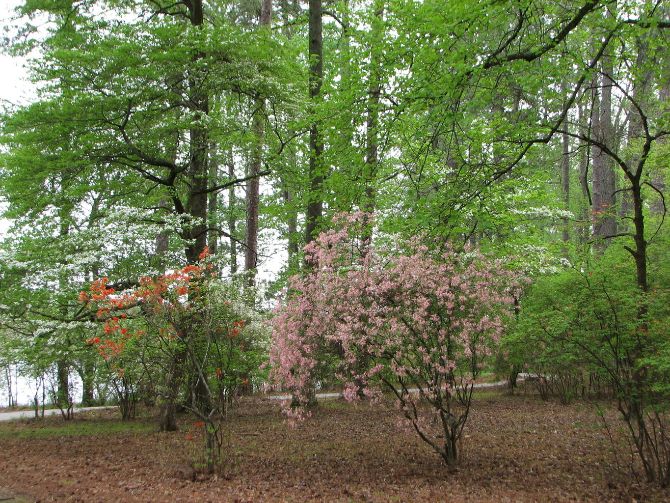 Visit to Callaway Gardens