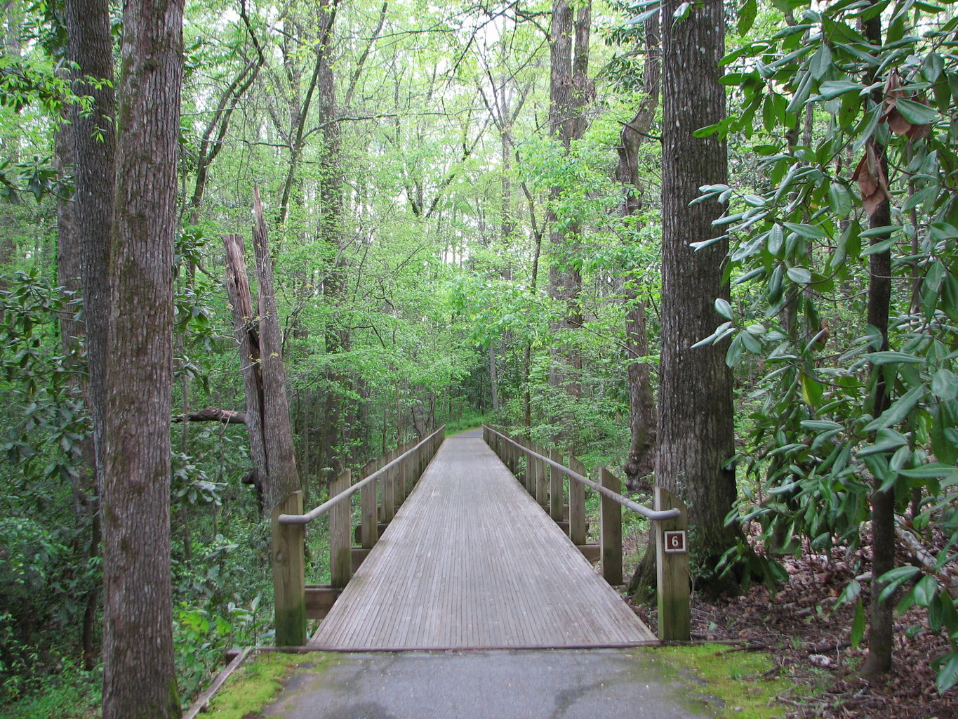 Visit to Callaway Gardens