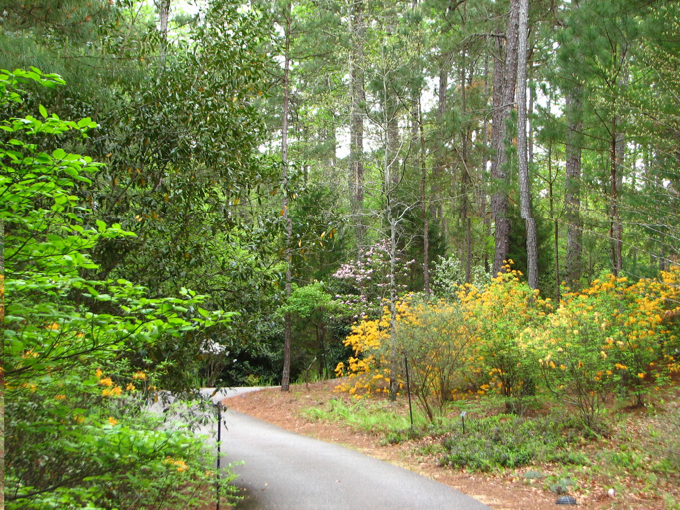 Visit to Callaway Gardens