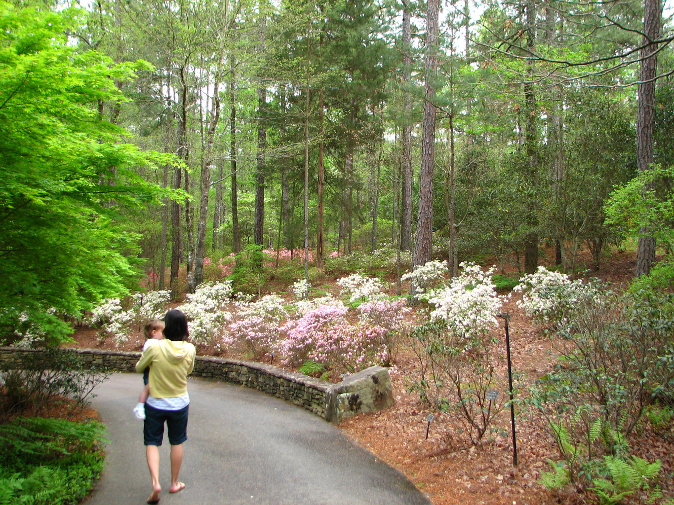 Visit to Callaway Gardens