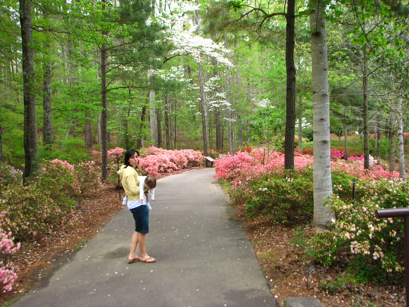 Visit to Callaway Gardens