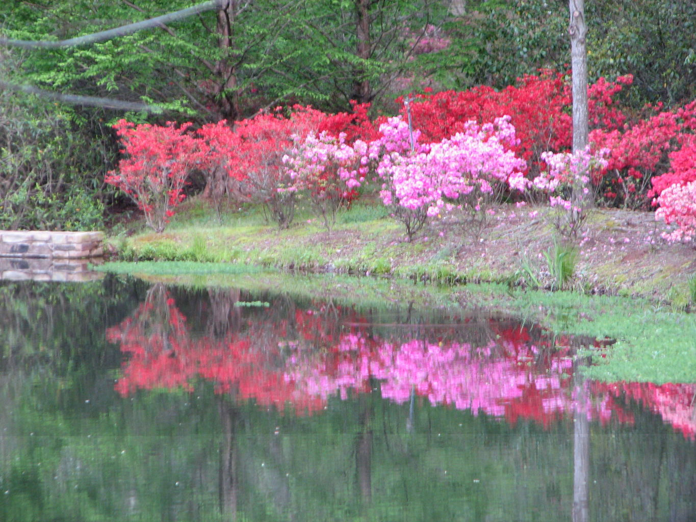 Visit to Callaway Gardens