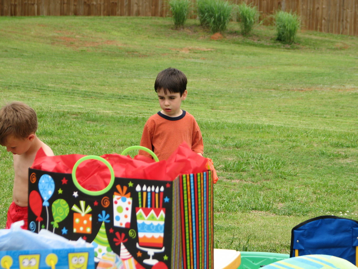 Ethan's Birthday Party