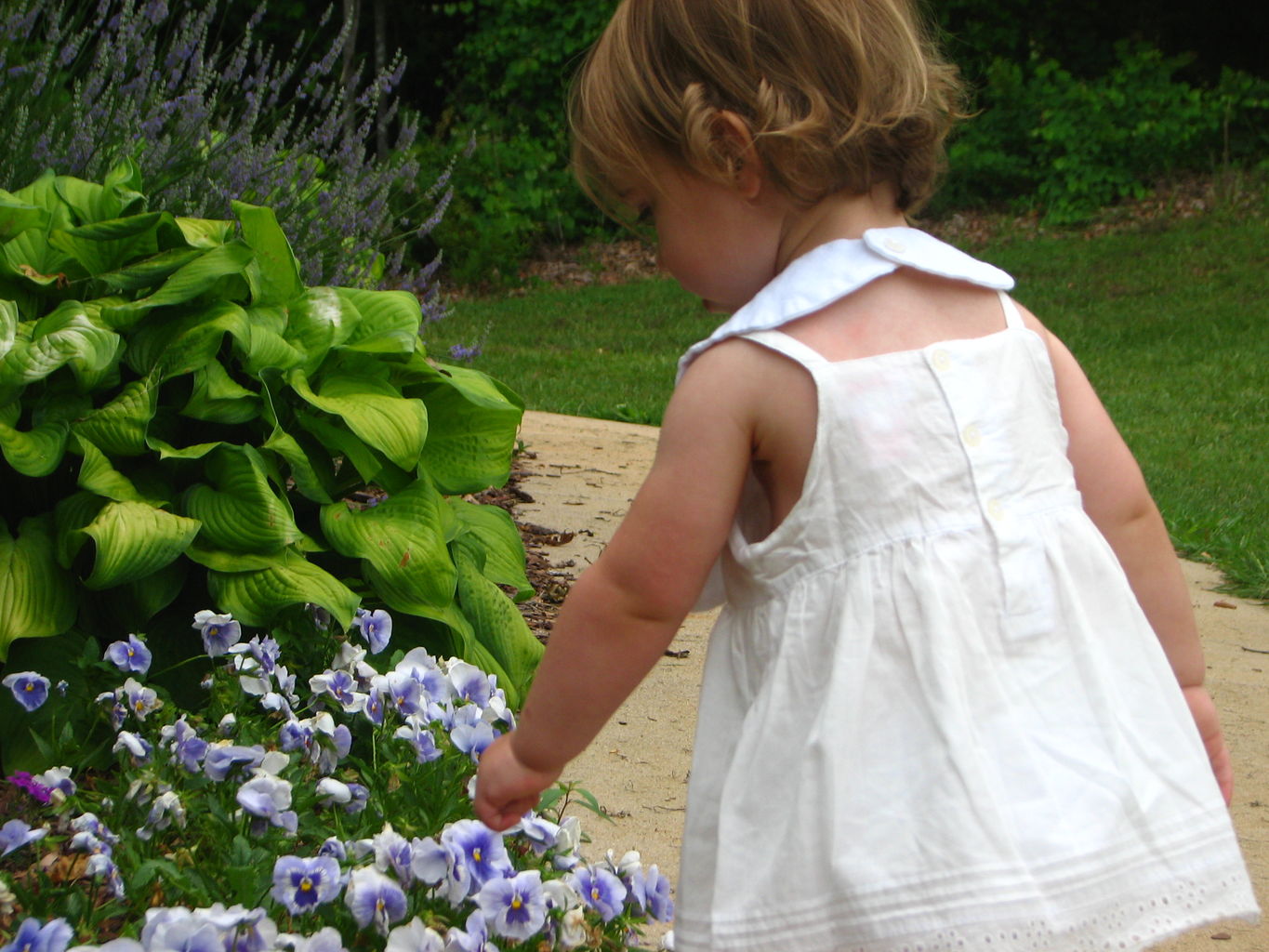 Kids Playing Outside