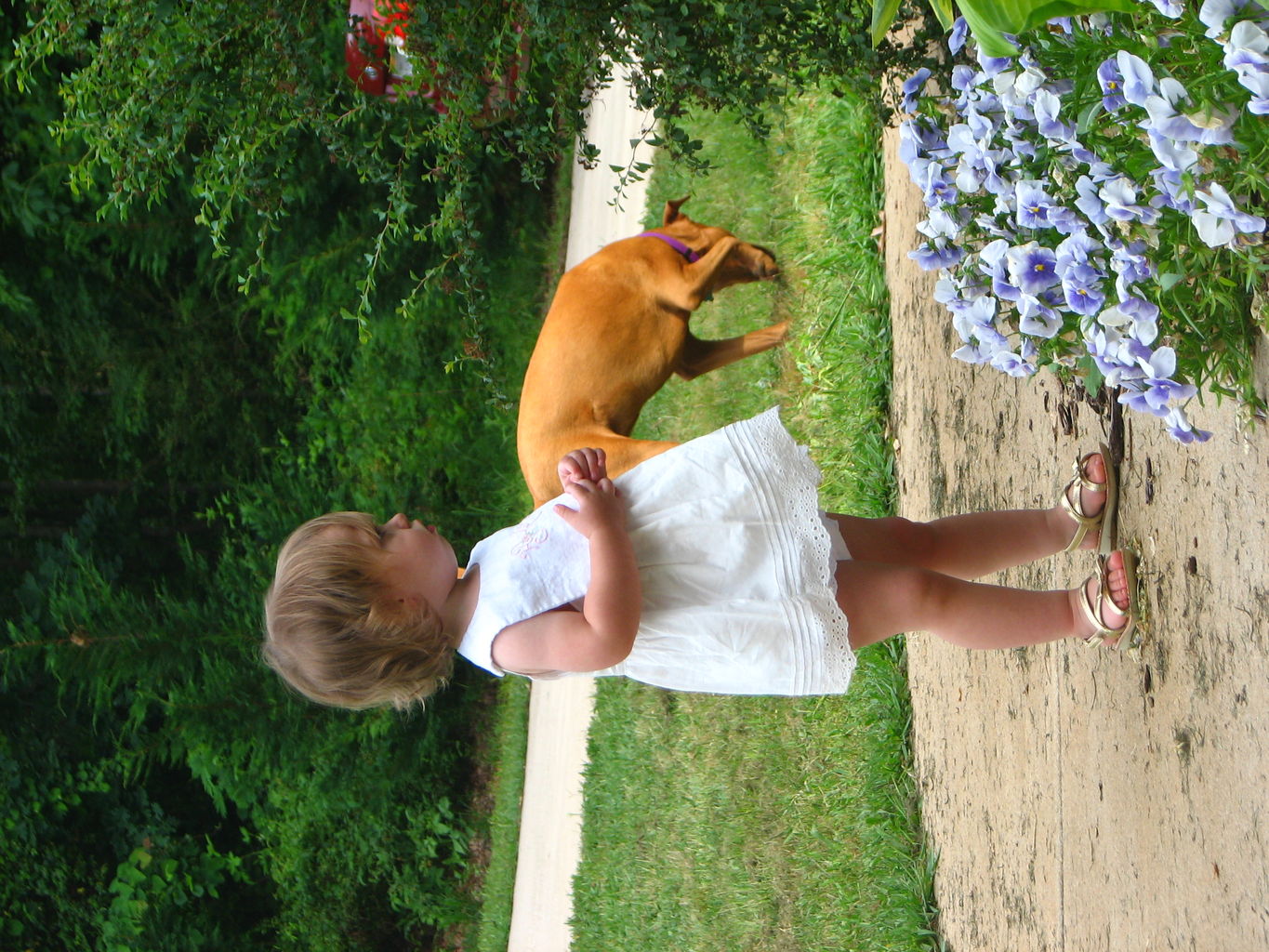 Kids Playing Outside