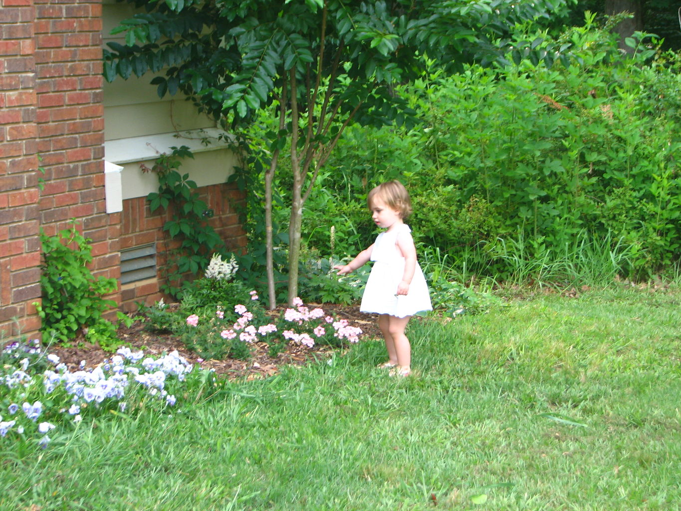 Kids Playing Outside