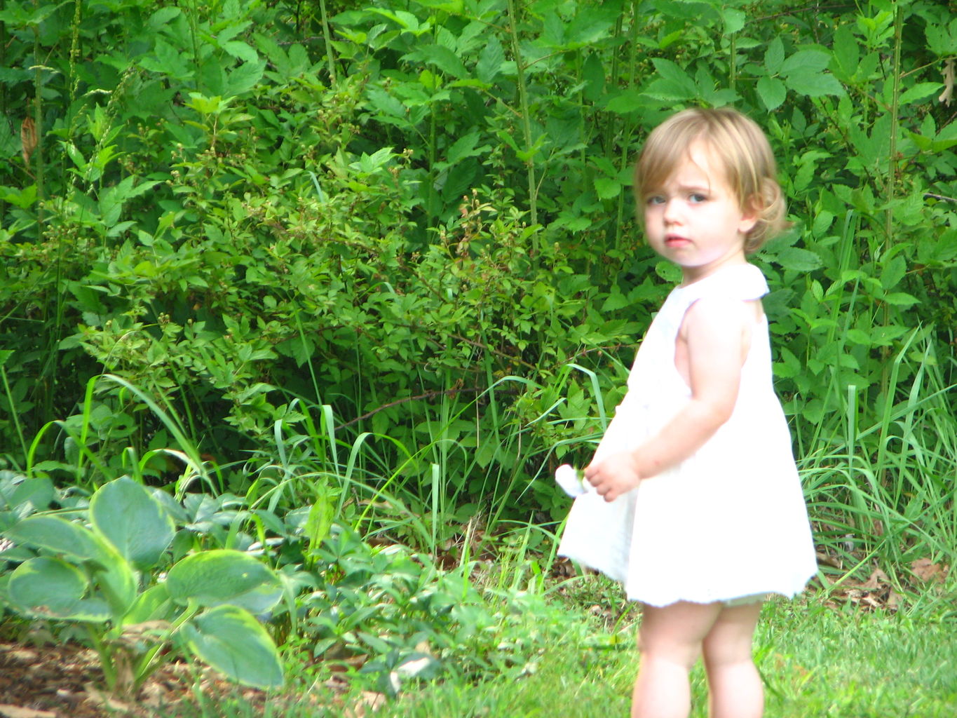 Kids Playing Outside