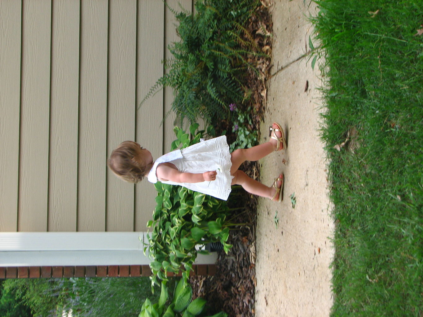 Kids Playing Outside