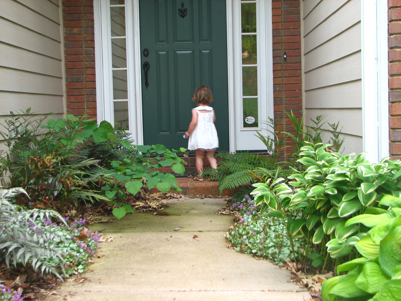 Kids Playing Outside