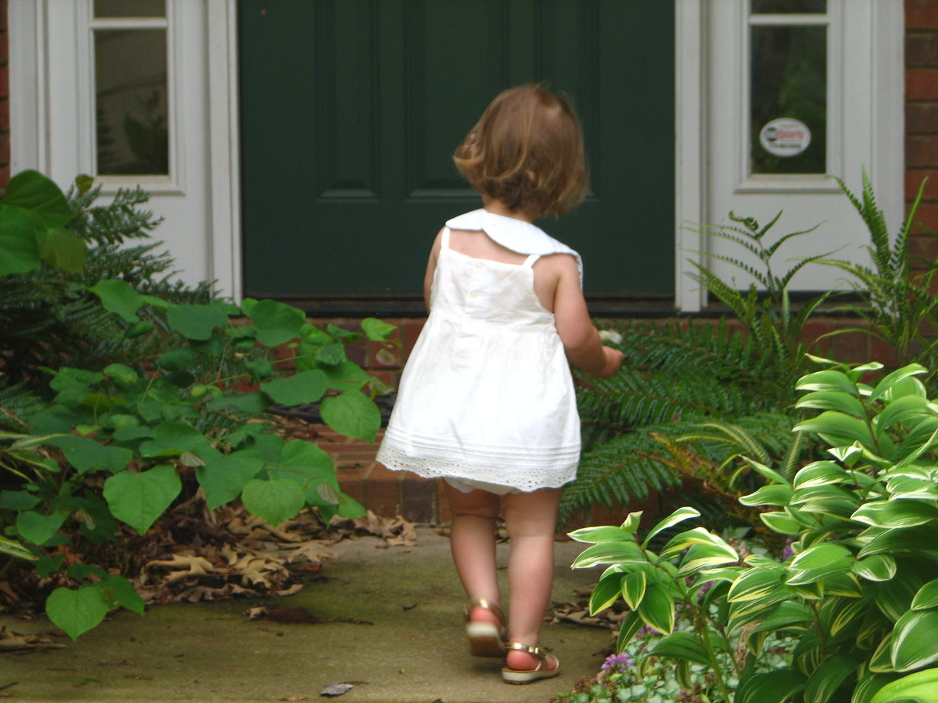 Kids Playing Outside