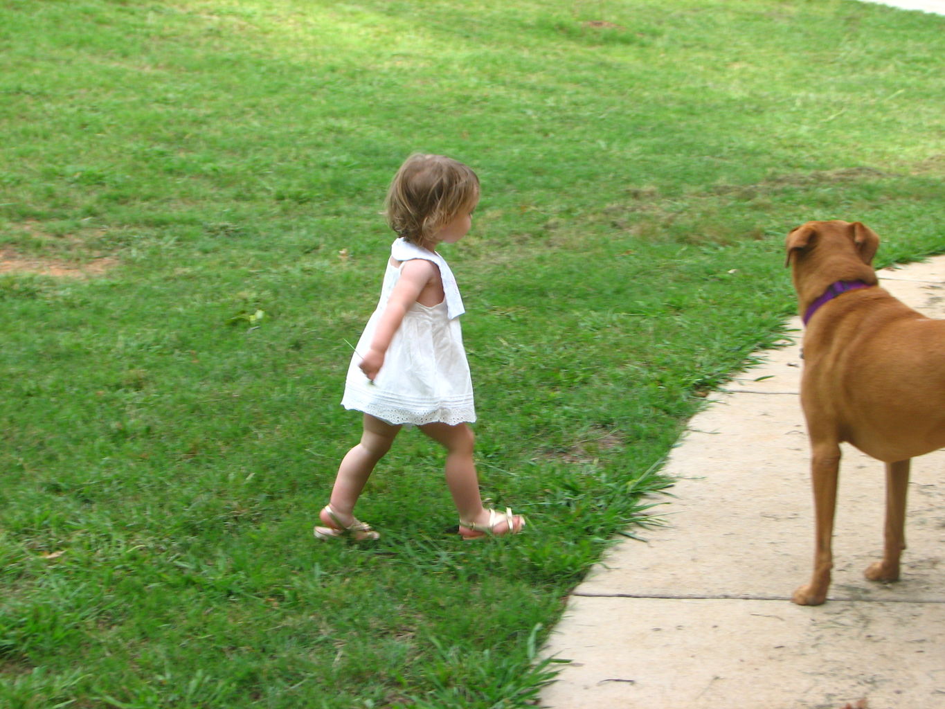 Kids Playing Outside