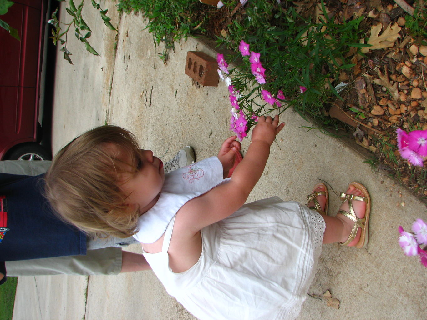 Kids Playing Outside