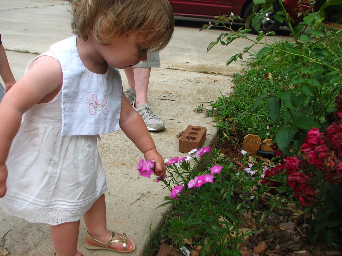 Kids Playing Outside