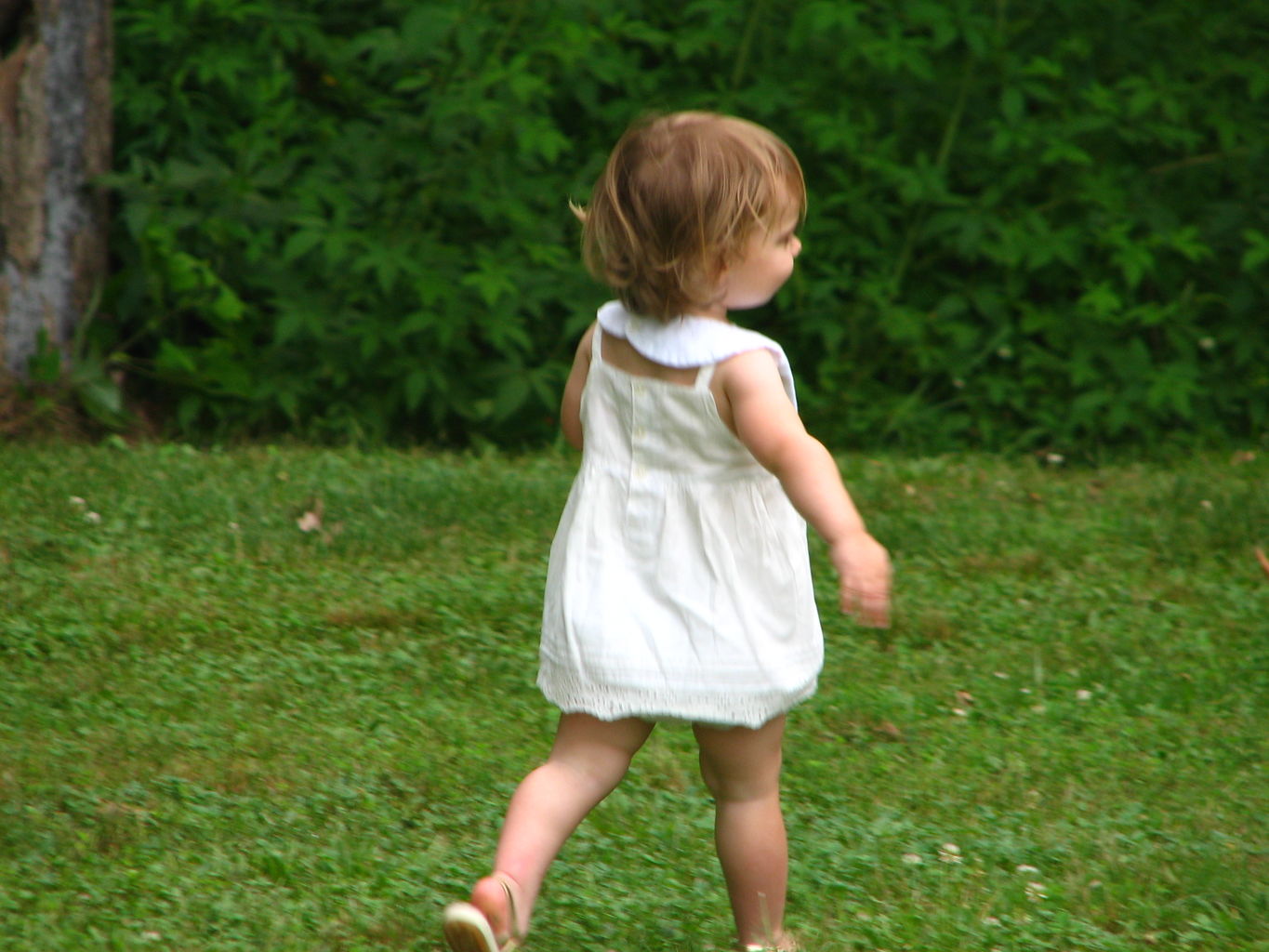 Kids Playing Outside