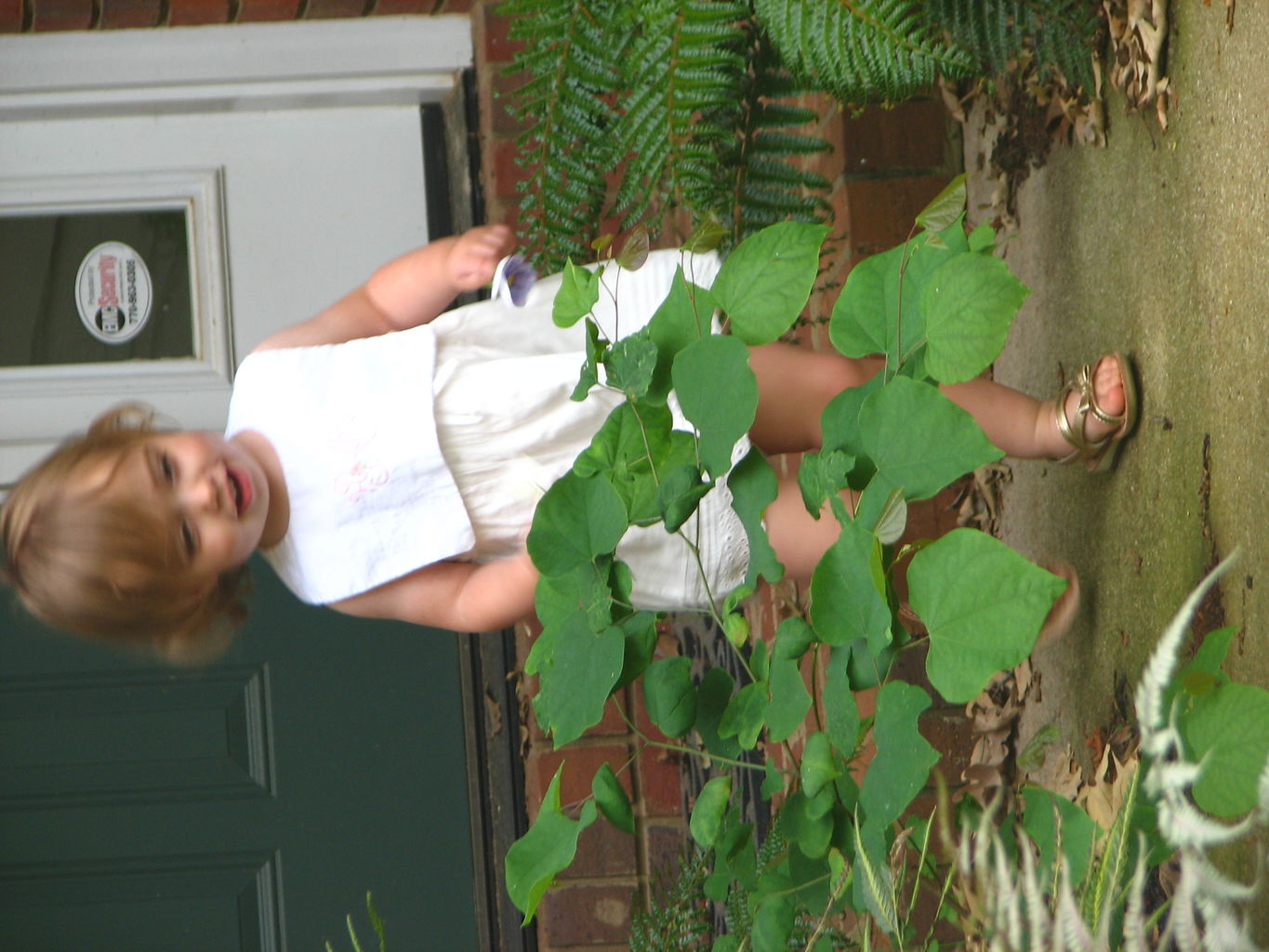 Kids Playing Outside