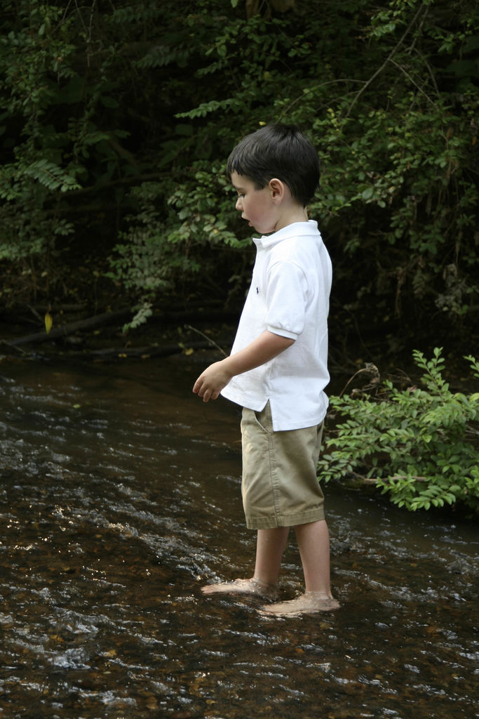 2008 Family Pictures