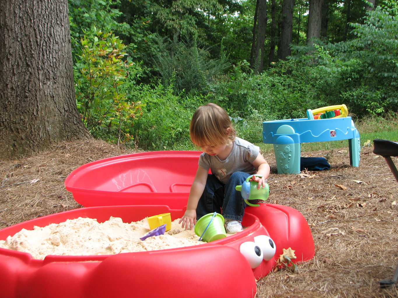 Hazel Sandbox