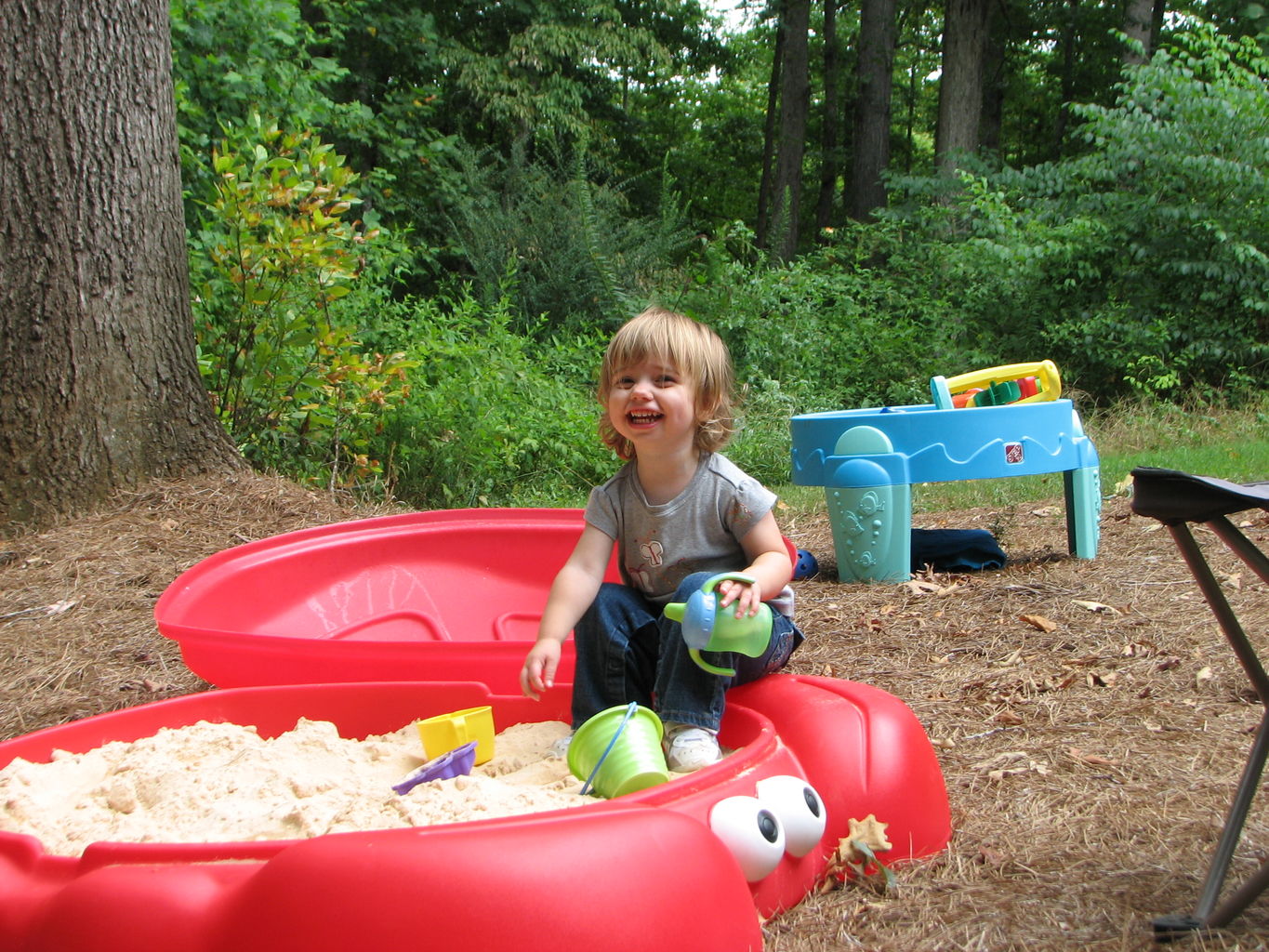 Hazel Sandbox