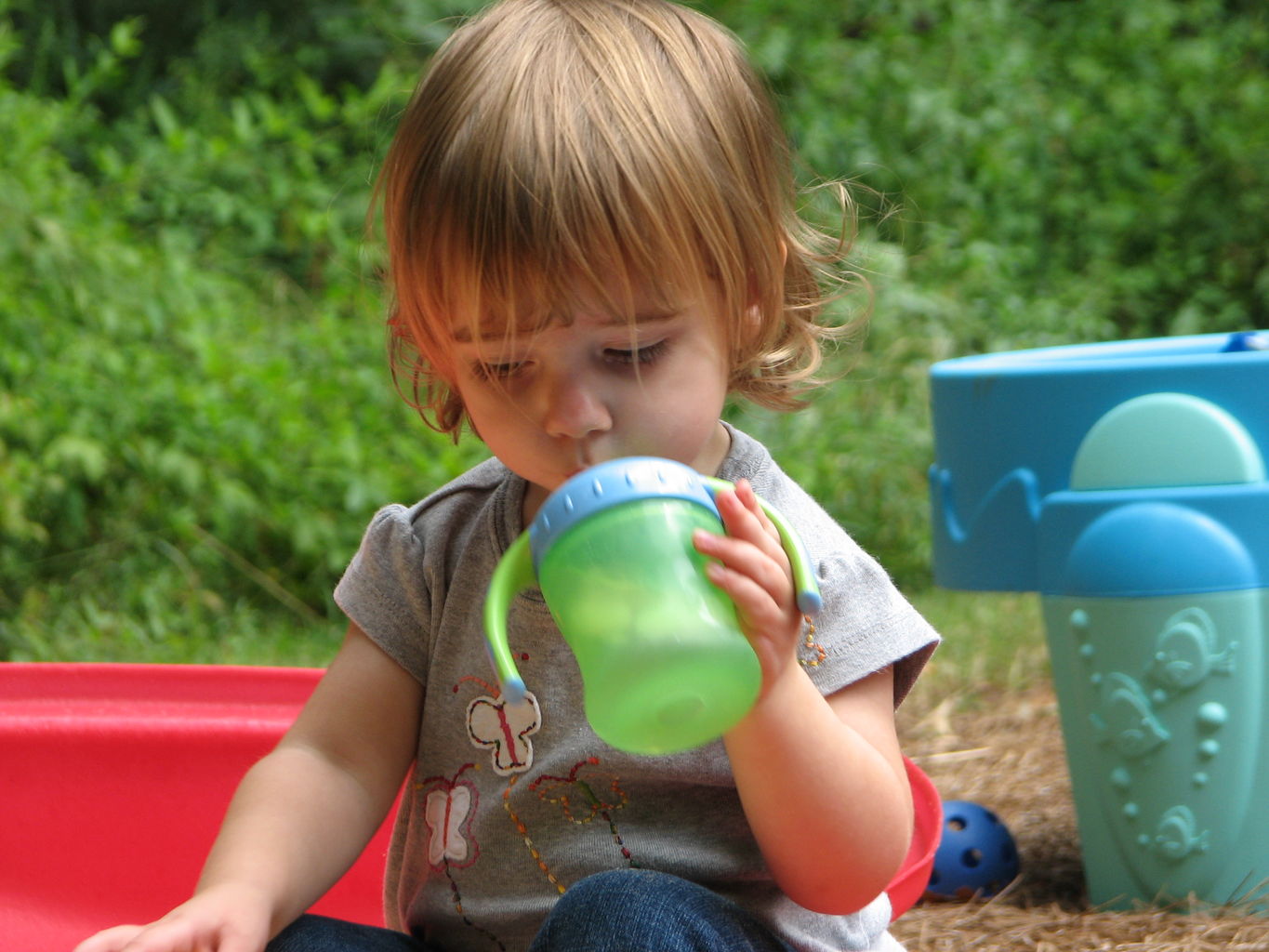Hazel Sandbox