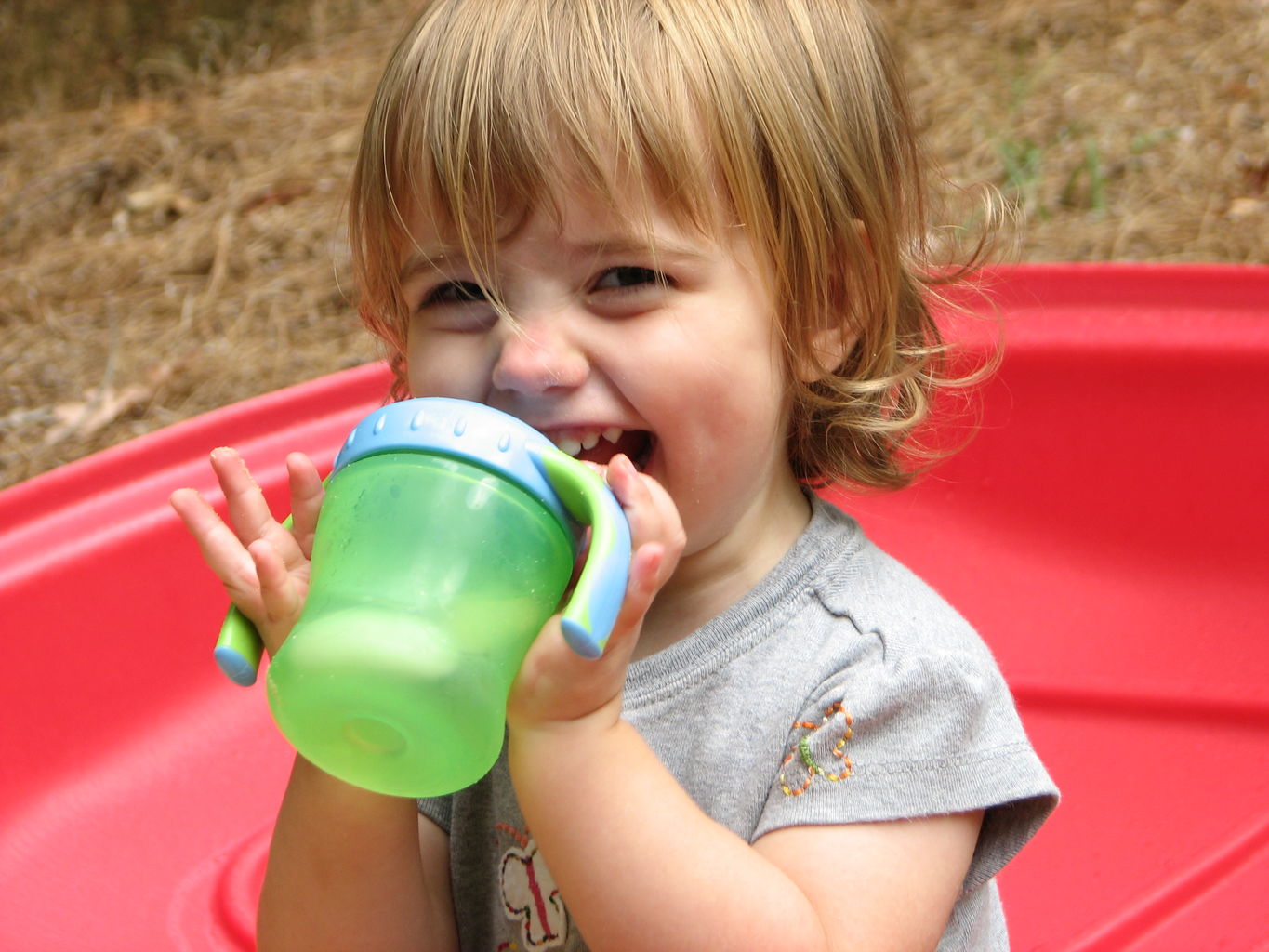 Hazel Sandbox