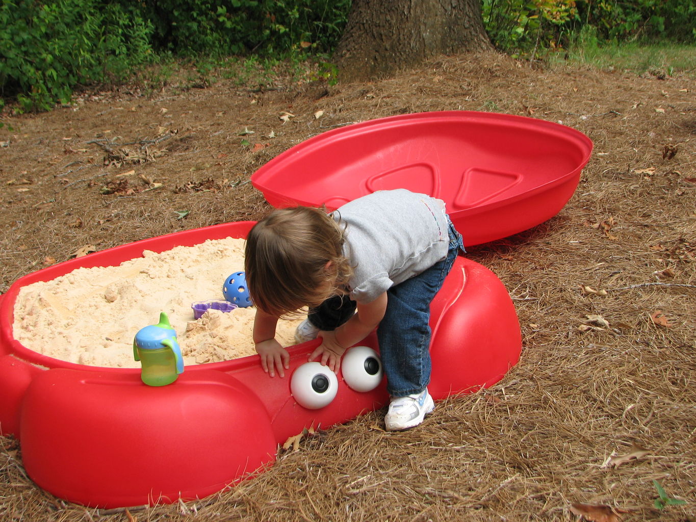 Hazel Sandbox