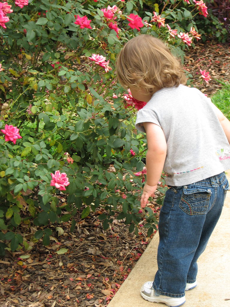 Hazel Sandbox