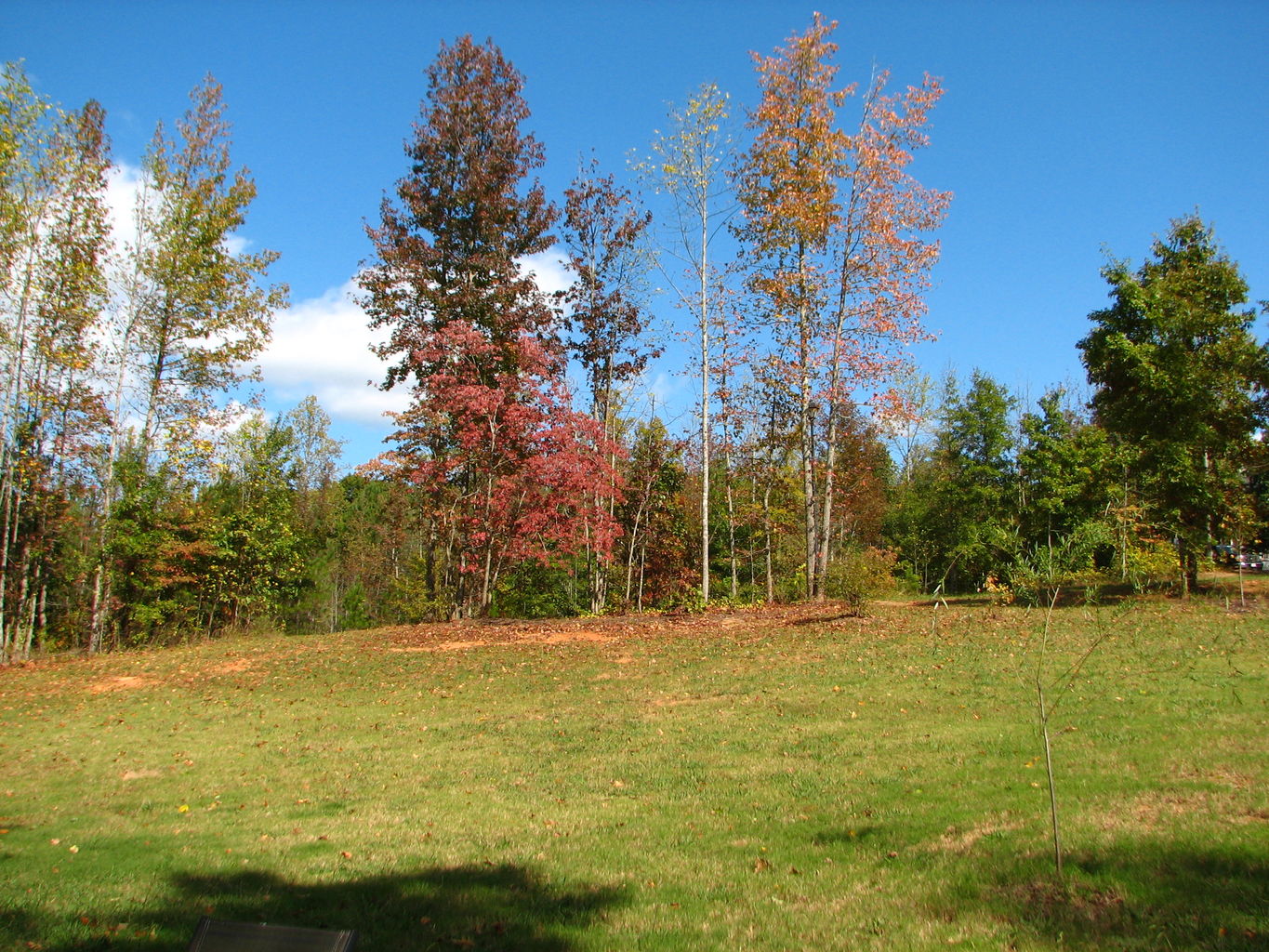 Fall Pictures