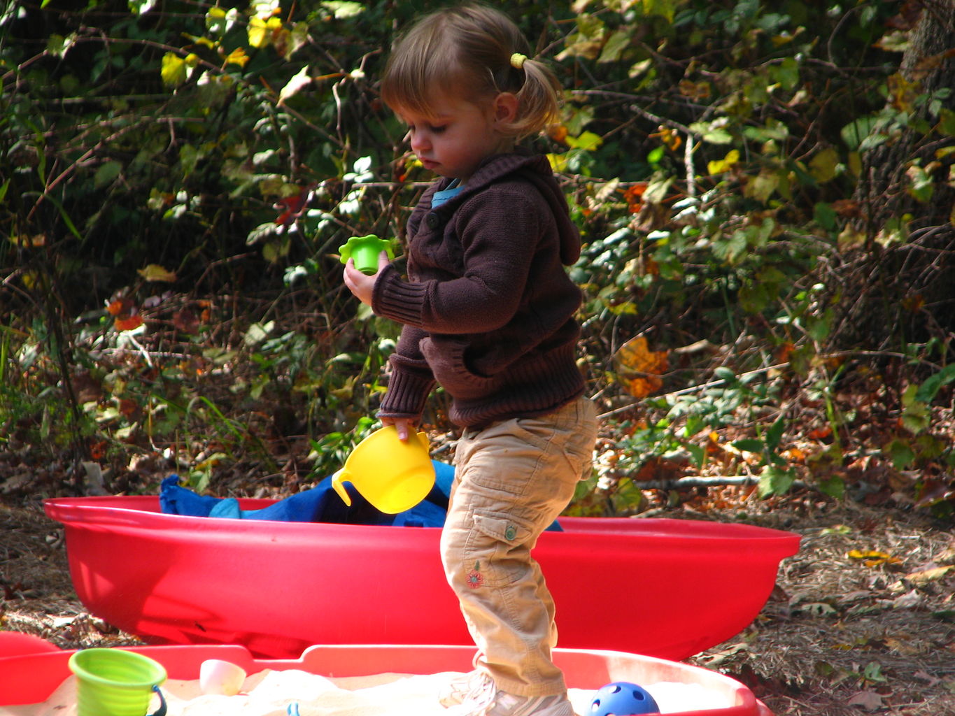 Fall Pictures