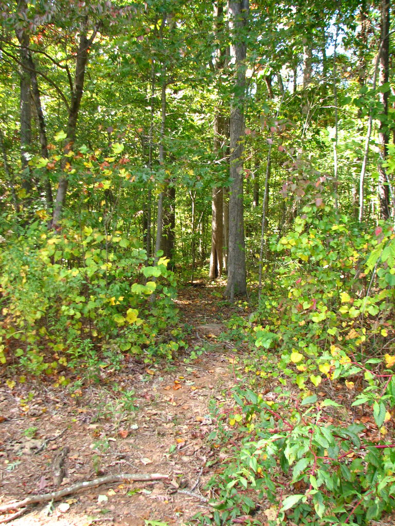 Fall Pictures