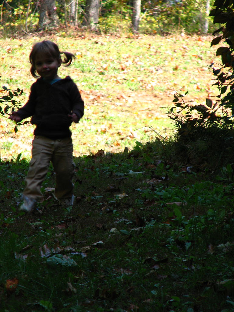 Fall Pictures