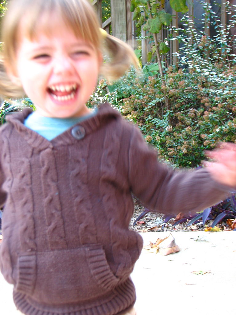 Fall Pictures