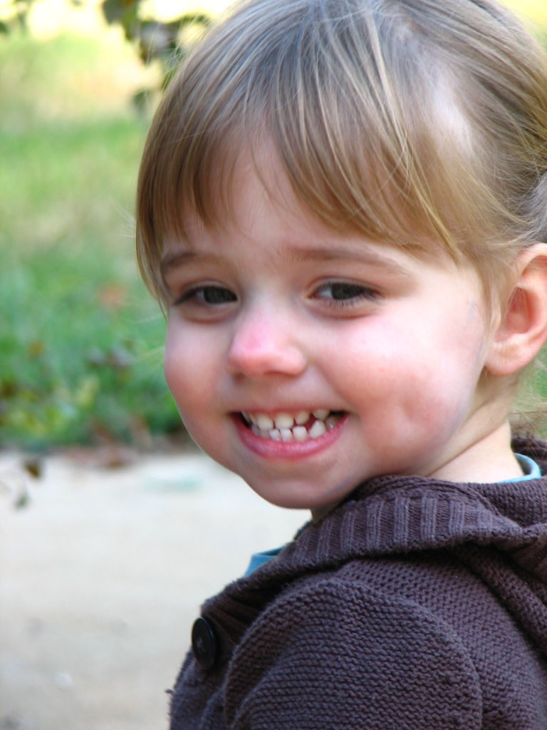 Fall Pictures