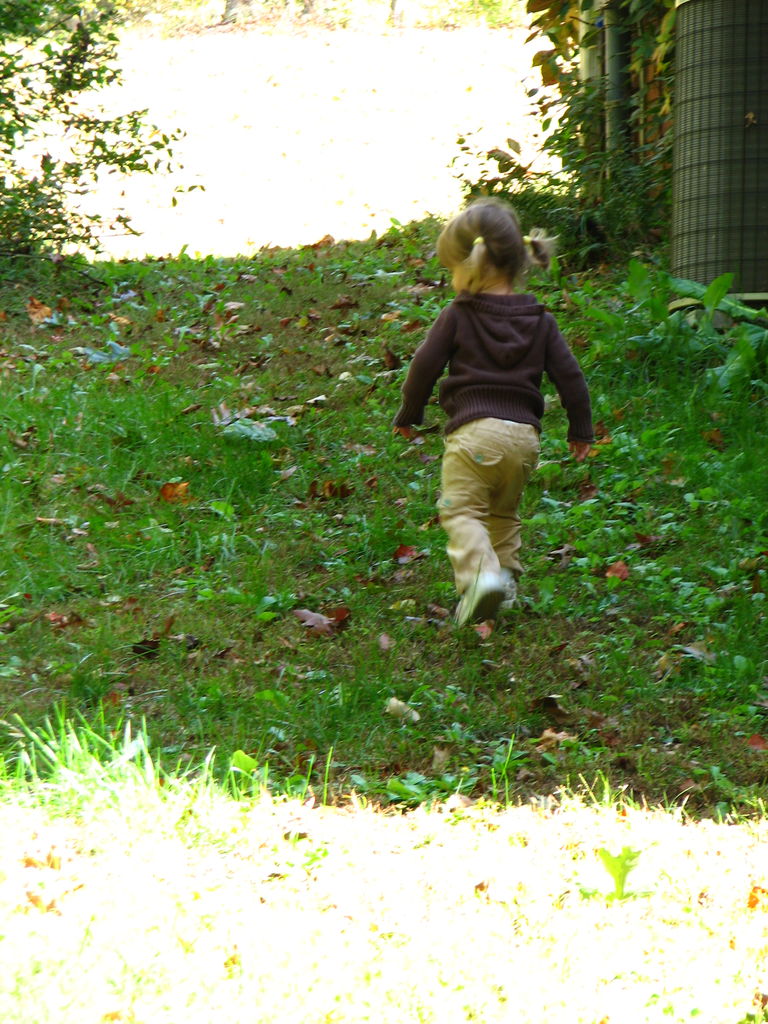 Fall Pictures