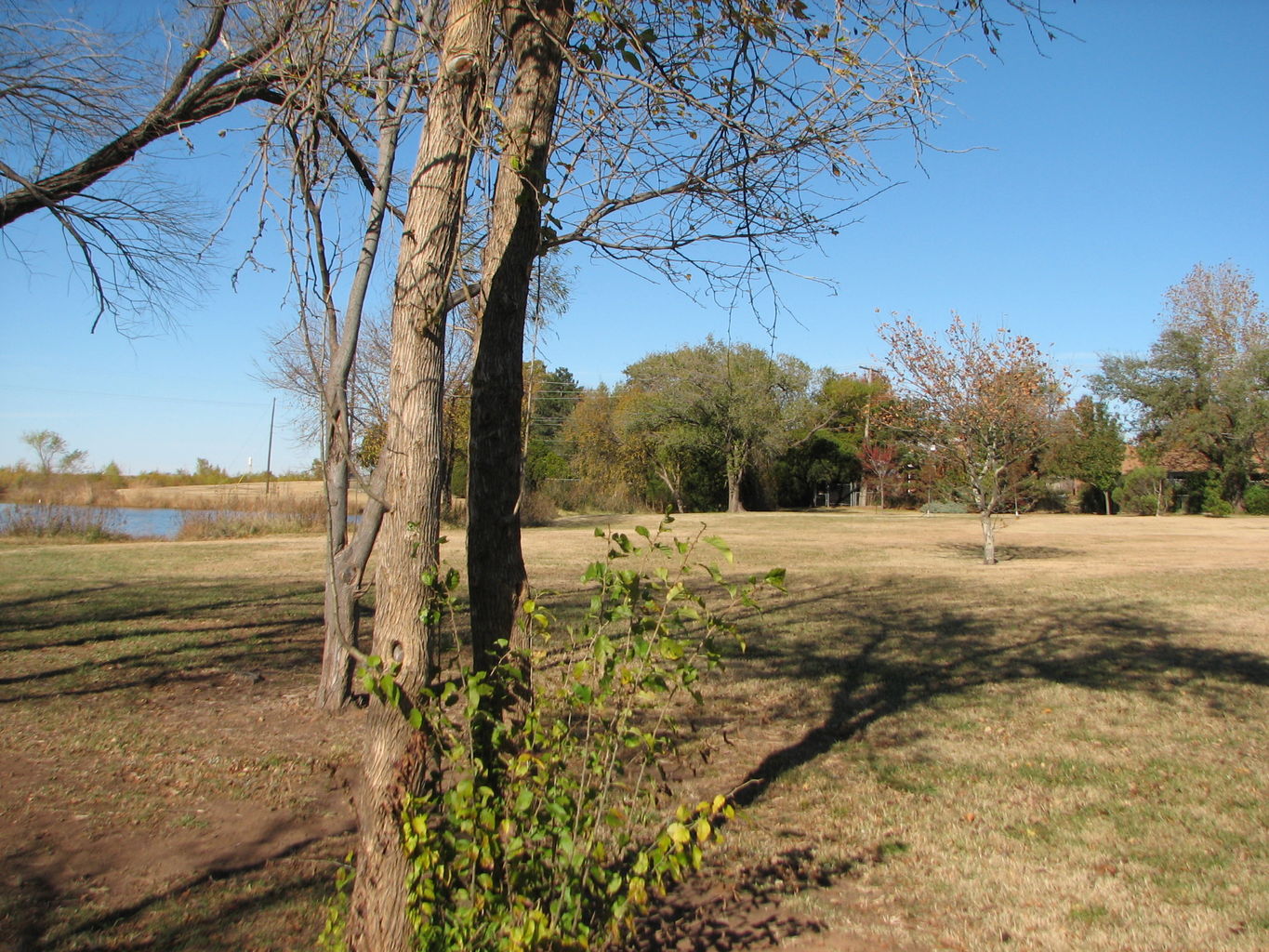 Oklahoma Houses