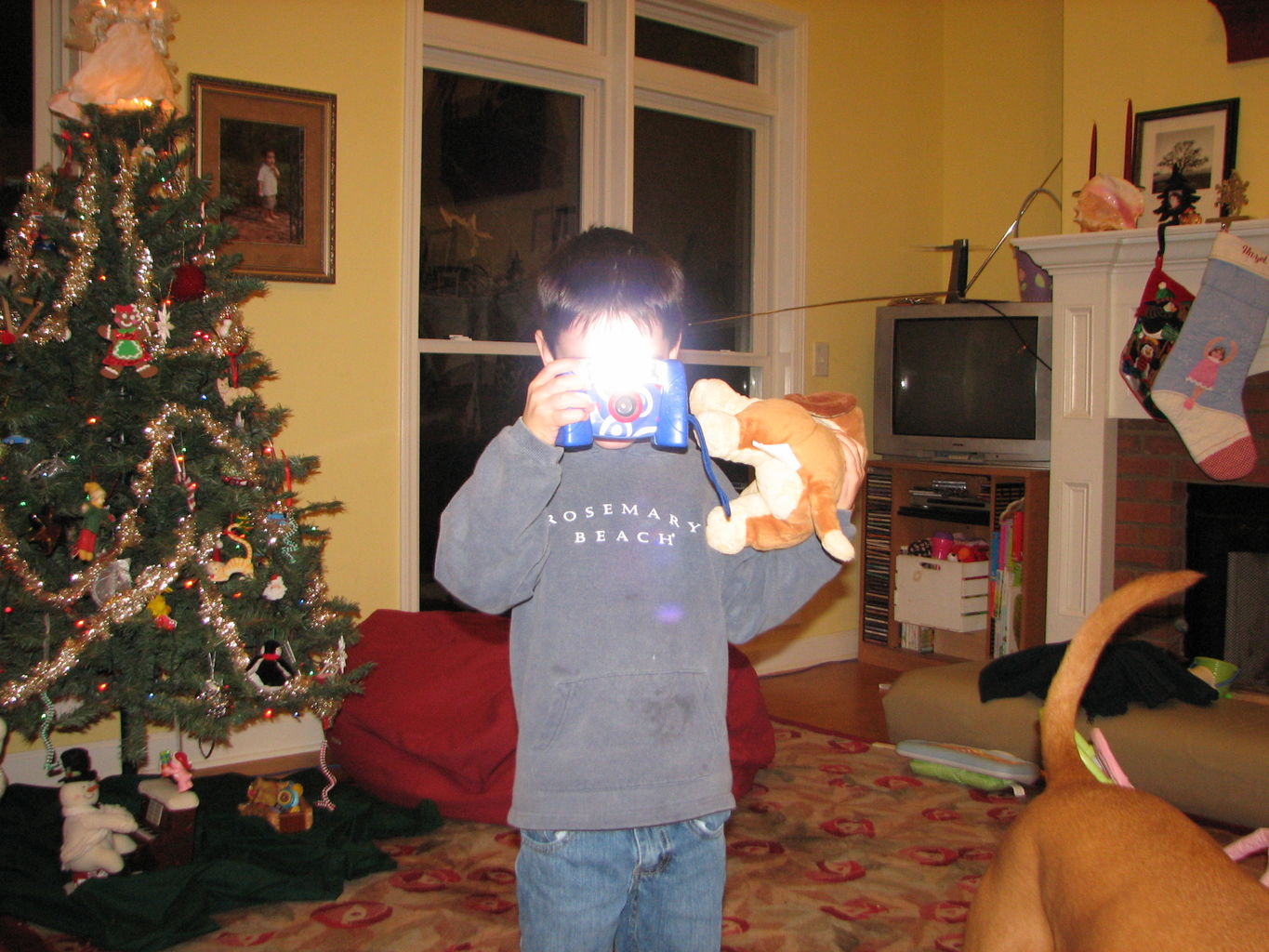 Pictures