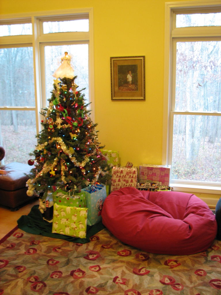 Early Christmas 2008